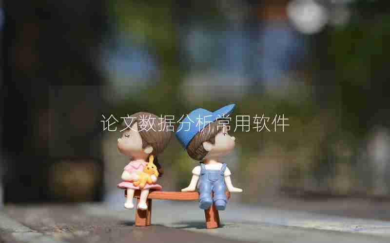 论文数据分析常用软件
