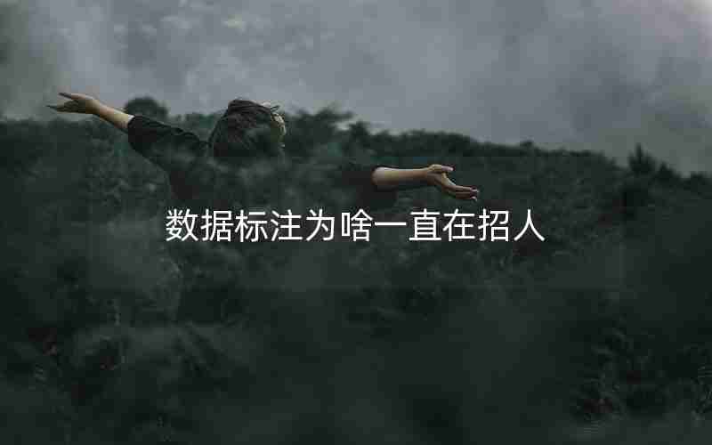 数据标注为啥一直在招人 数据标注为啥一直在招人