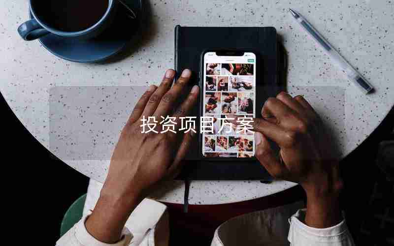 投资项目方案 投资项目方案