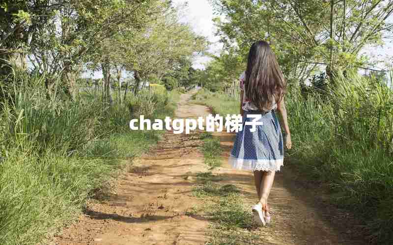 chatgpt的梯子 chatgpt的梯子