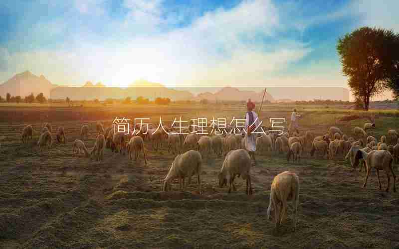 简历人生理想怎么写