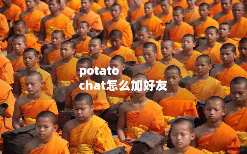 potato chat怎么加好友