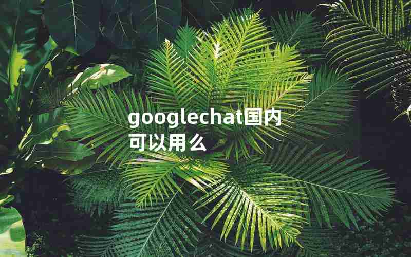 googlechat国内可以用么