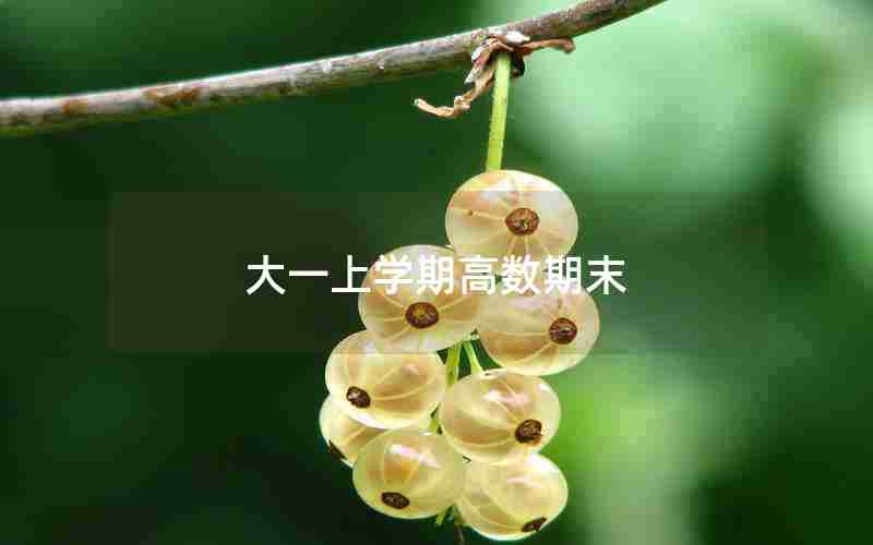 大一上学期高数期末 大一上学期高数期末