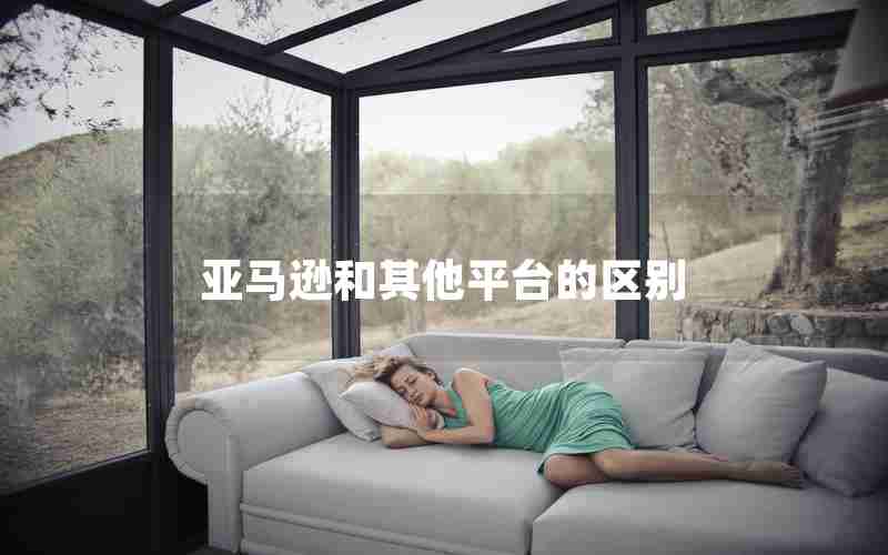 亚马逊和其他平台的区别