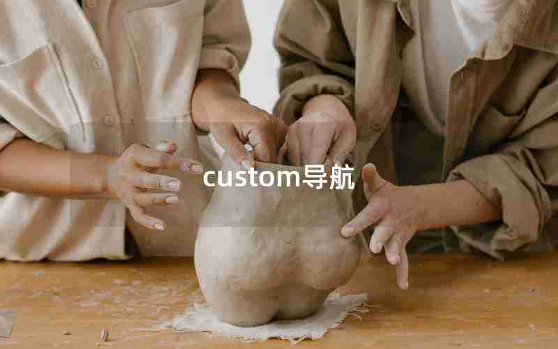 custom导航 custom导航