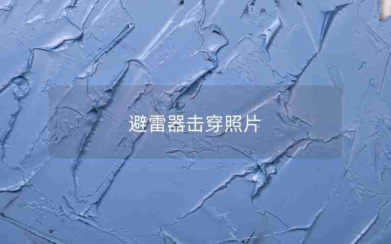 避雷器击穿照片