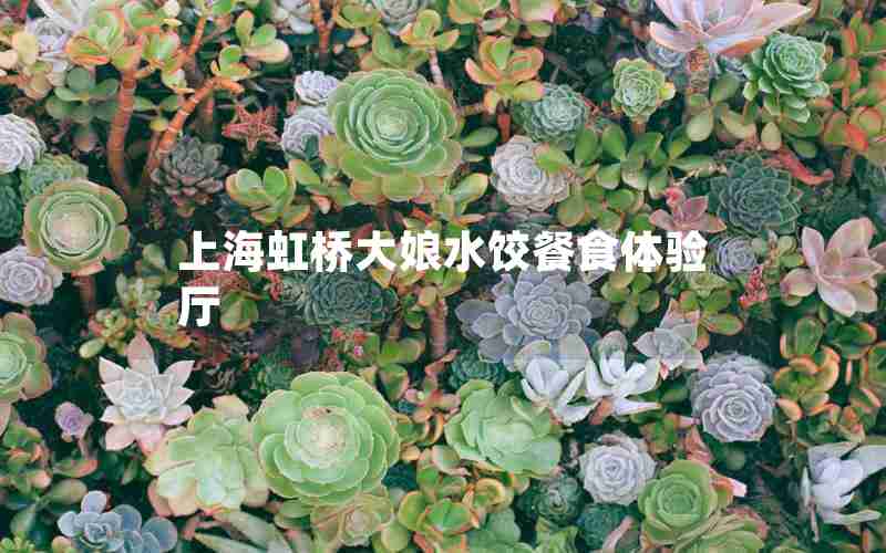 上海虹桥大娘水饺餐食体验厅