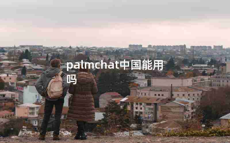 palmchat中国能用吗 palmchat中国能用吗