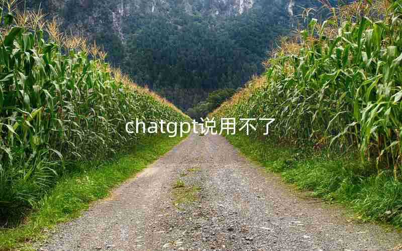 chatgpt说用不了