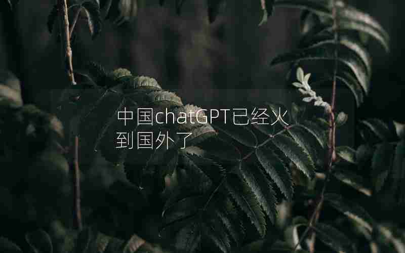中国chatGPT已经火到国外了 中国chatGPT已经火到国外了