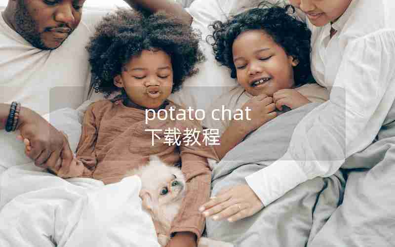 potato chat 下载教程