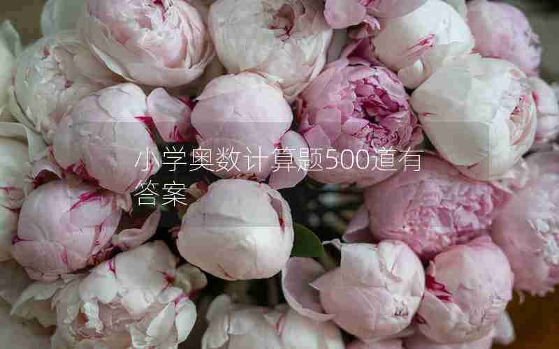 小学奥数计算题500道有答案 小学奥数计算题500道有答案