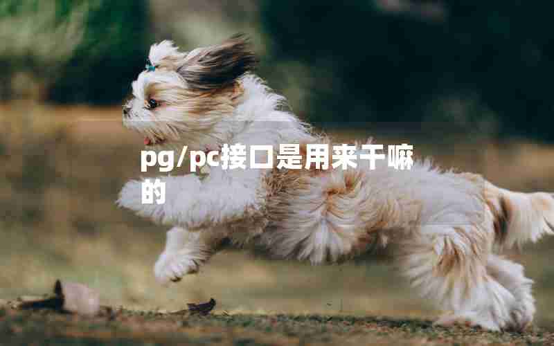 pg/pc接口是用来干嘛的 pg/pc接口是用来干嘛的