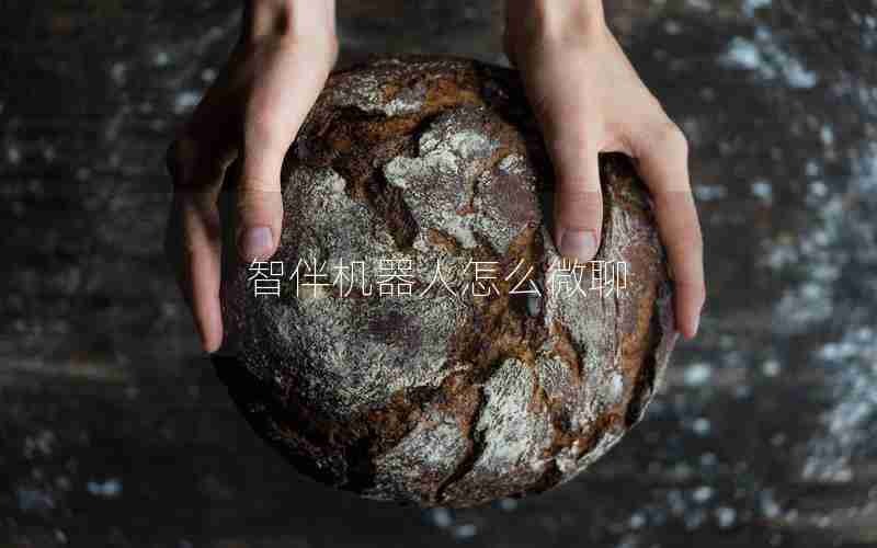 智伴机器人怎么微聊