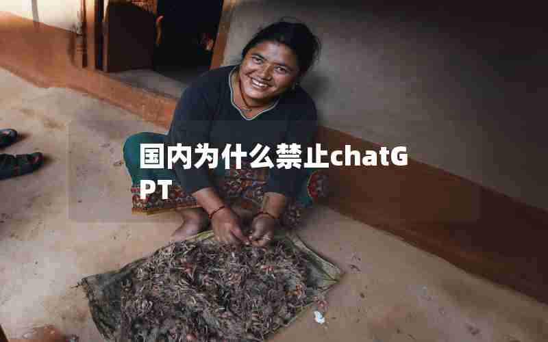 国内为什么禁止chatGPT 国内为什么禁止chatGPT