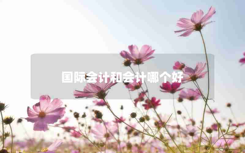 国际会计和会计哪个好