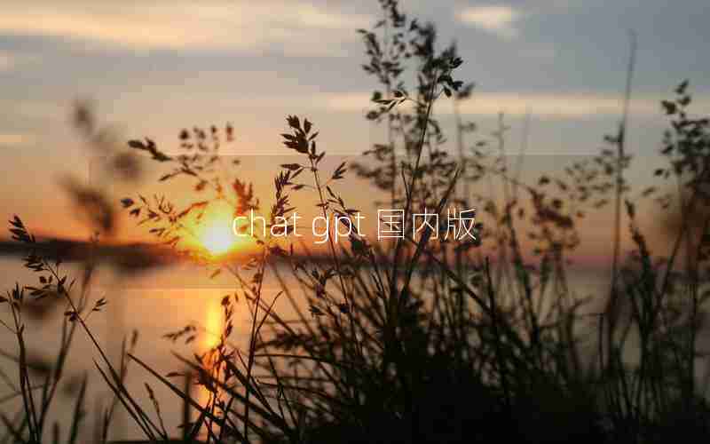 chat gpt 国内版 chat gpt 国内版
