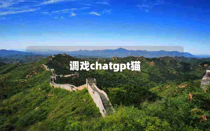 调戏chatgpt猫