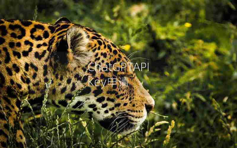 ChatGPTAPI Key申请