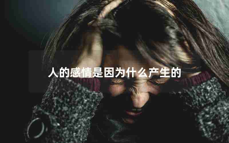 人的感情是因为什么产生的