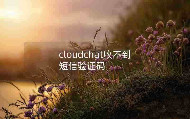cloudchat收不到短信验证码 cloudchat收不到短信验证码
