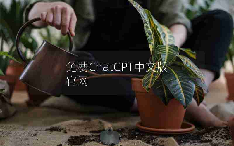免费ChatGPT中文版官网 免费ChatGPT中文版官网