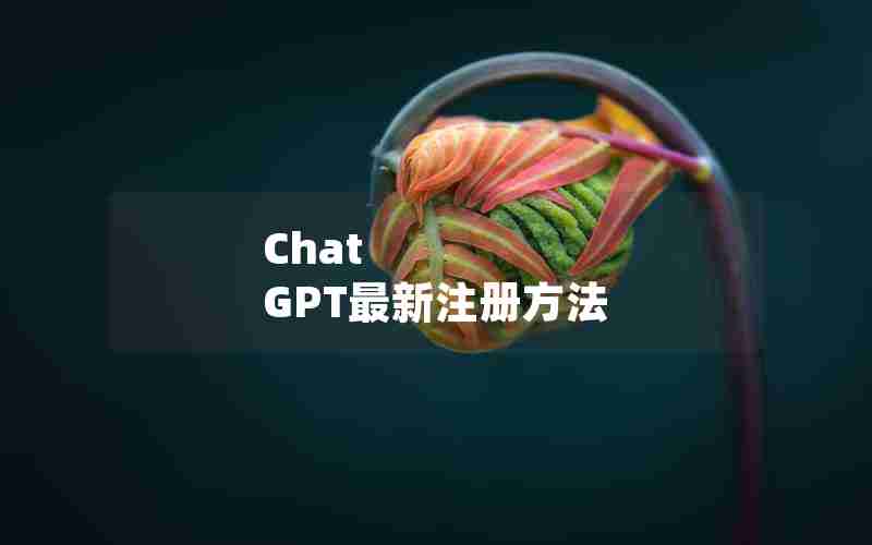 Chat GPT最新注册方法