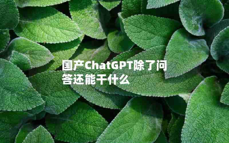 国产ChatGPT除了问答还能干什么