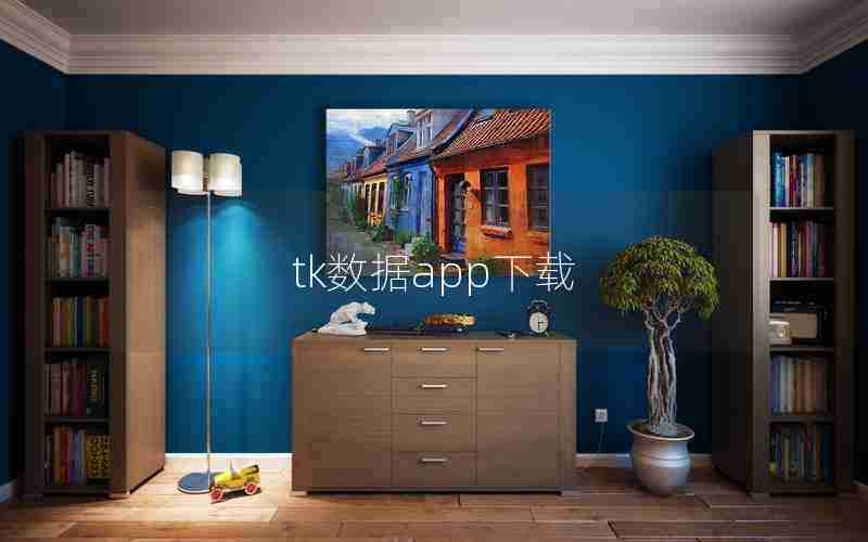 tk数据app下载