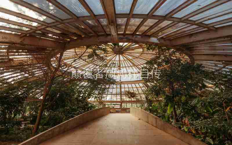 颠覆者周鸿祎自传 颠覆者周鸿祎自传