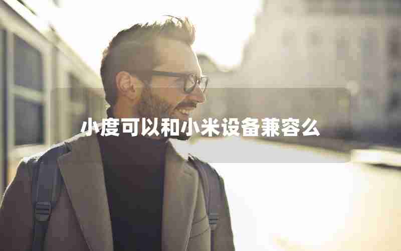 小度可以和小米设备兼容么