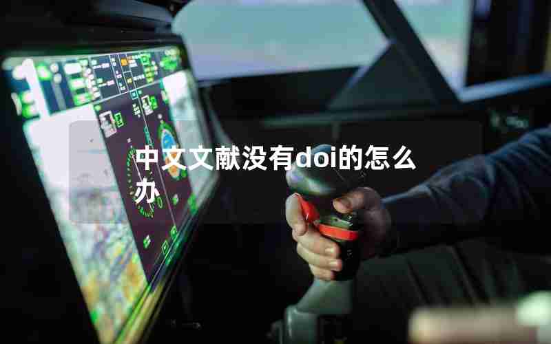 中文文献没有doi的怎么办