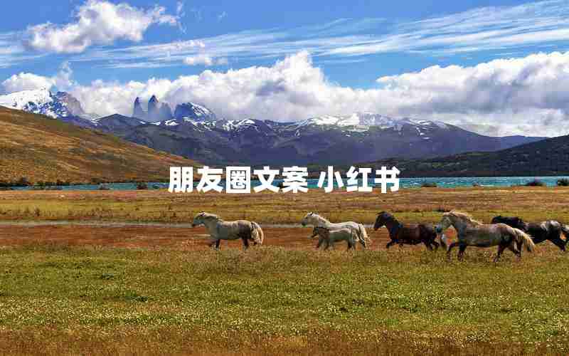 朋友圈文案 小红书 朋友圈文案 小红书