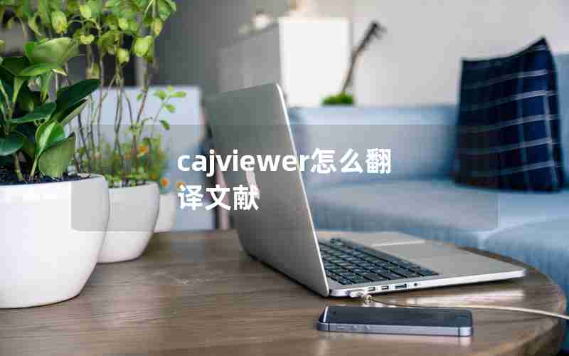 cajviewer怎么翻译文献