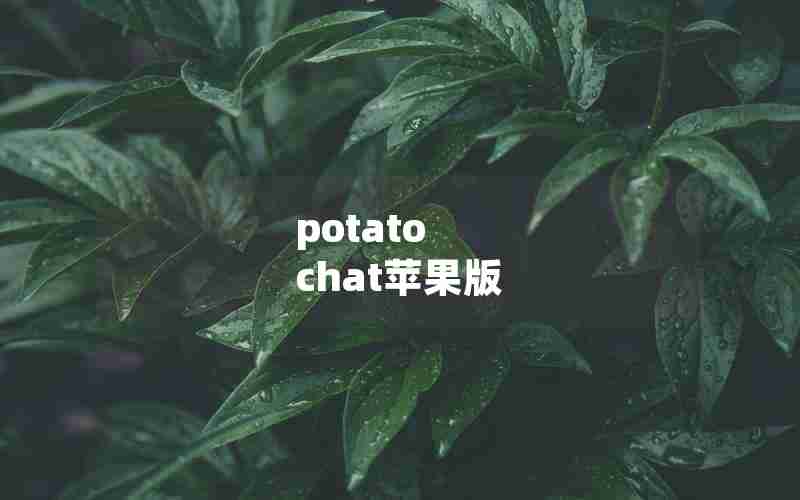 potato chat苹果版 potato chat苹果版