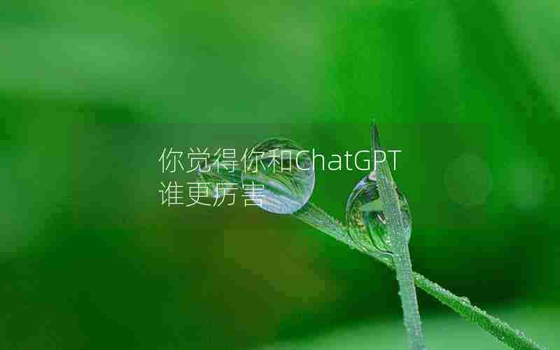 你觉得你和ChatGPT谁更厉害