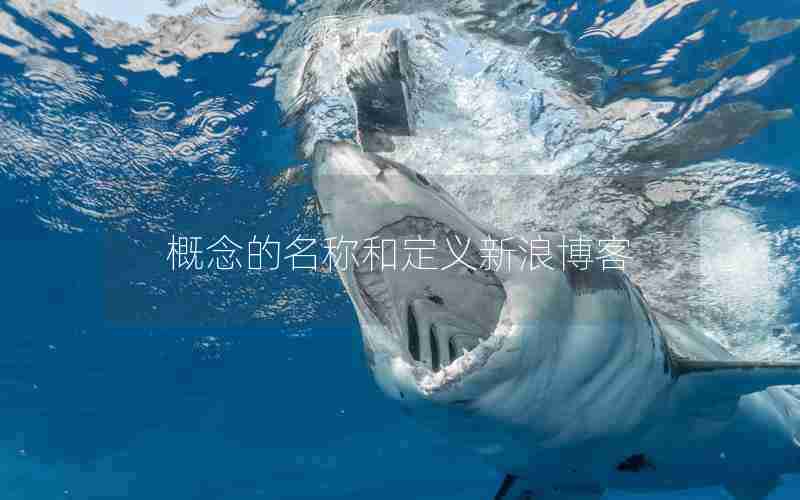 概念的名称和定义新浪博客