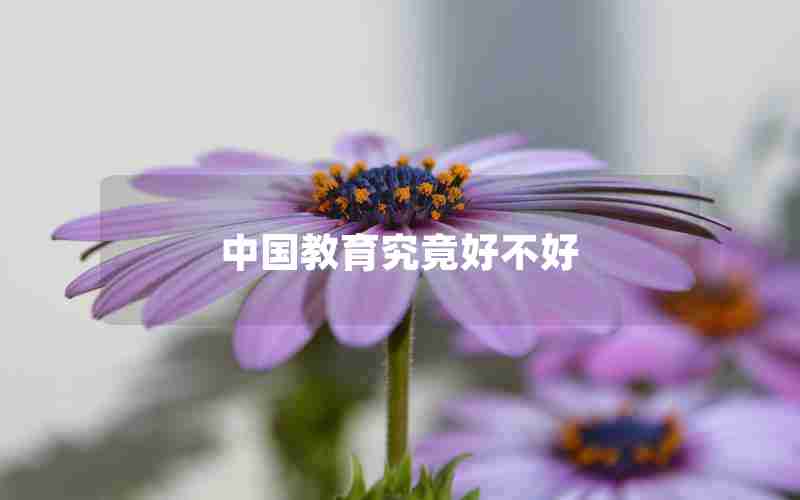 中国教育究竟好不好 中国教育究竟好不好