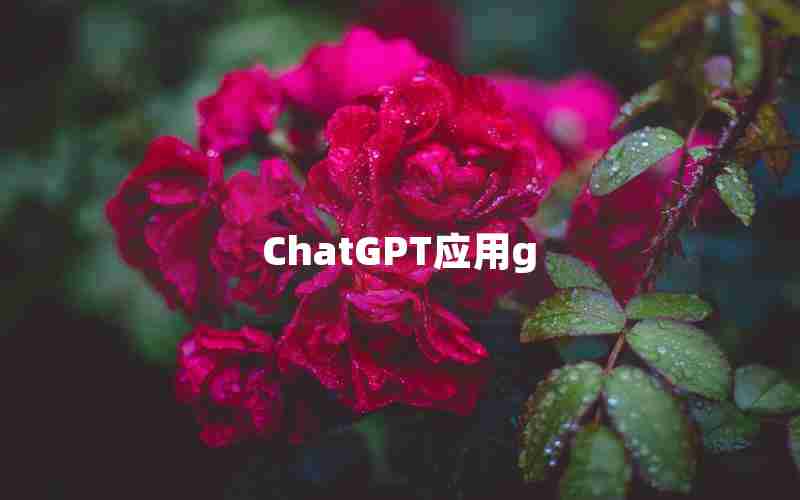 ChatGPT应用g ChatGPT应用g
