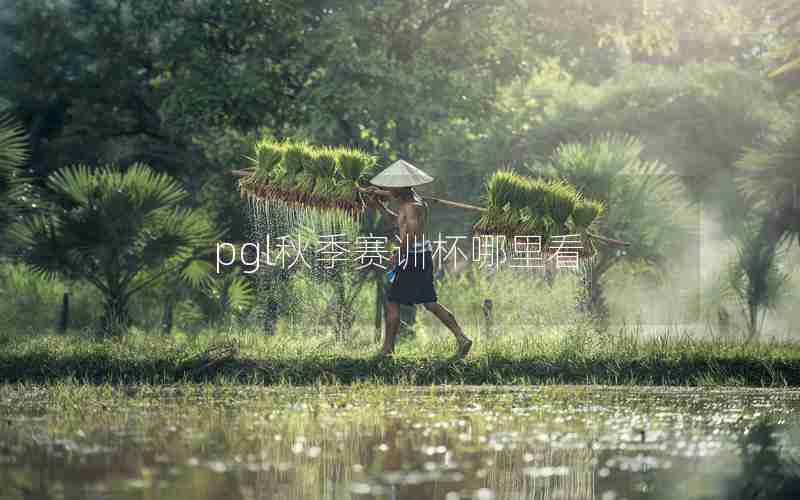 pgl秋季赛训杯哪里看 pgl秋季赛训杯哪里看