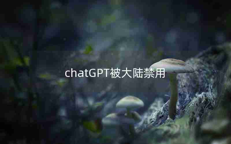 chatGPT被大陆禁用 chatGPT被大陆禁用