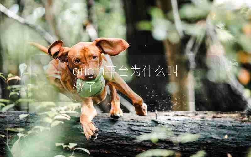 origin平台为什么叫橘子 origin平台为什么叫橘子