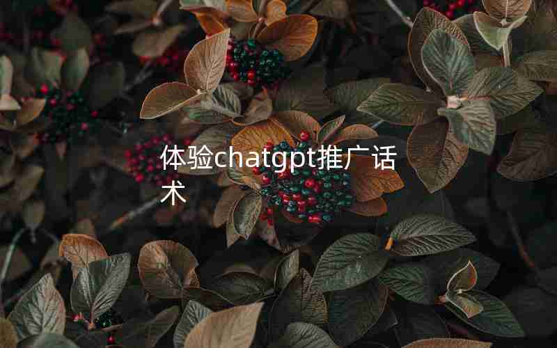 体验chatgpt推广话术