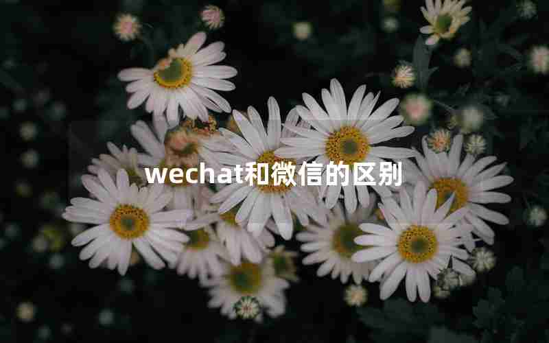 wechat和微信的区别