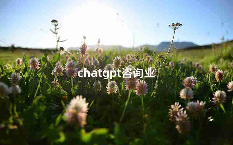 chatgpt咨询业