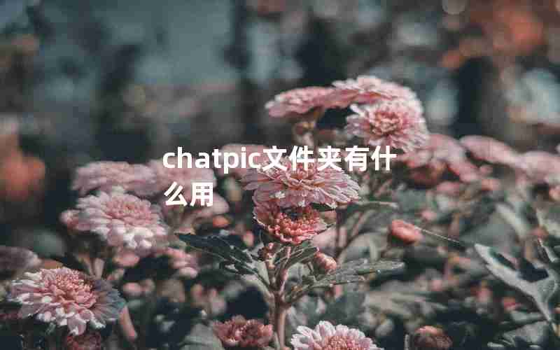 chatpic文件夹有什么用 chatpic文件夹有什么用