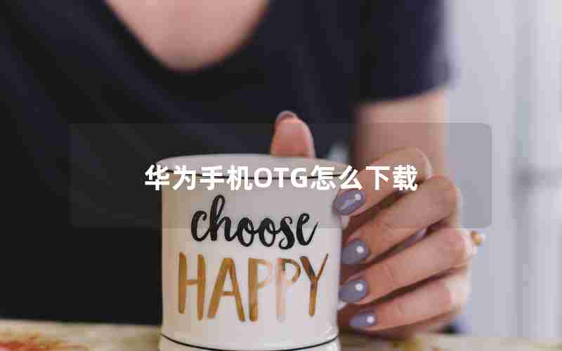 华为手机OTG怎么下载