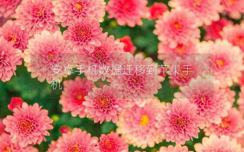 安卓手机数据迁移到苹果手机 安卓手机数据迁移到苹果手机