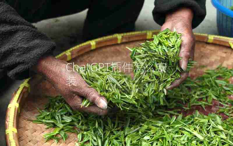 ChatGPT插件怎么安装 ChatGPT插件怎么安装